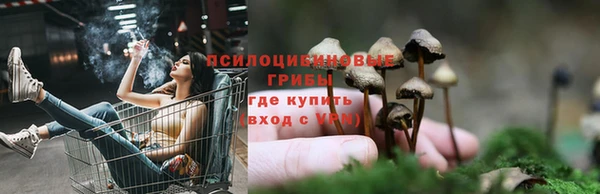 прущий лед Козельск