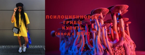 мдпв Козловка