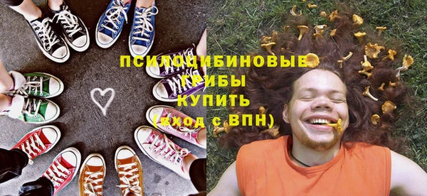 прущий лед Козельск