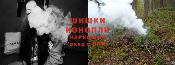 мдпв Козловка