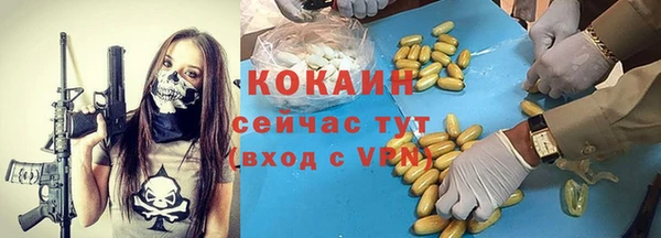 мдпв Козловка