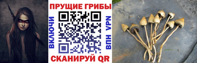 Псилоцибиновые грибы MAGIC MUSHROOMS Ленинградская