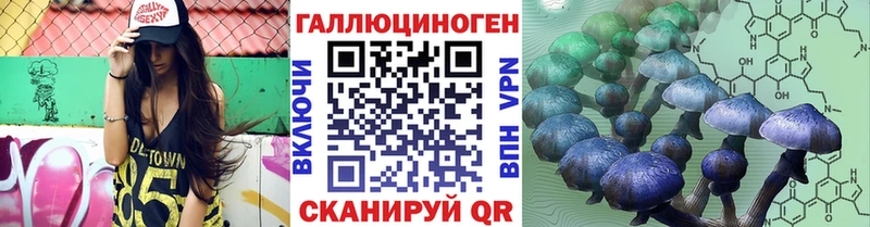 блэк спрут как зайти  Ленинградская  Псилоцибиновые грибы MAGIC MUSHROOMS 